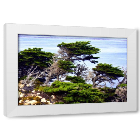 North Point I White Modern Wood Framed Art Print by Hausenflock, Alan