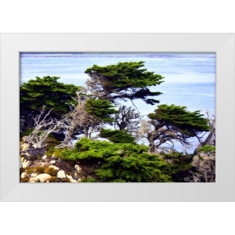 North Point I White Modern Wood Framed Art Print by Hausenflock, Alan