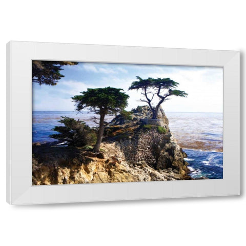 Lone Cypress II White Modern Wood Framed Art Print by Hausenflock, Alan