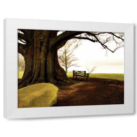 Fog on the James I White Modern Wood Framed Art Print by Hausenflock, Alan