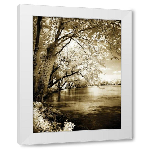 Spring on the River I White Modern Wood Framed Art Print by Hausenflock, Alan