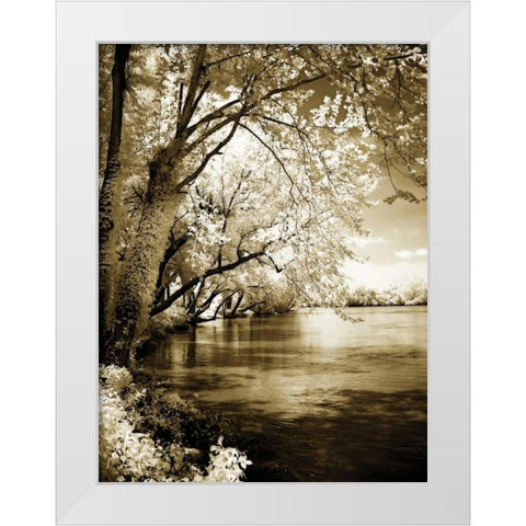 Spring on the River I White Modern Wood Framed Art Print by Hausenflock, Alan