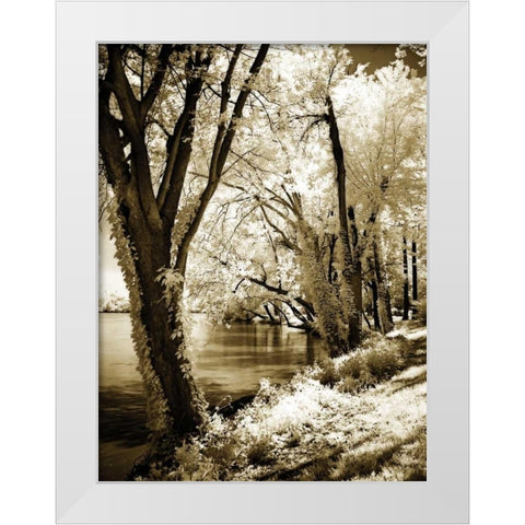 Spring on the River II White Modern Wood Framed Art Print by Hausenflock, Alan