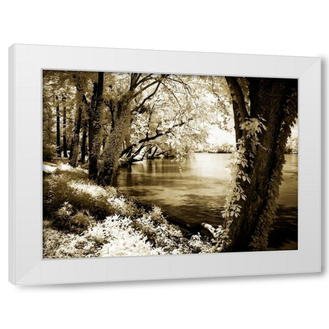 Spring on the River III White Modern Wood Framed Art Print by Hausenflock, Alan