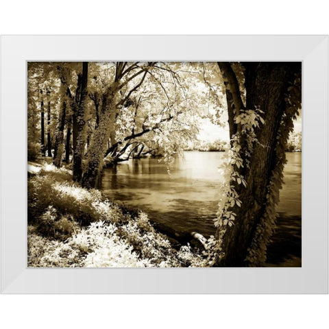 Spring on the River III White Modern Wood Framed Art Print by Hausenflock, Alan