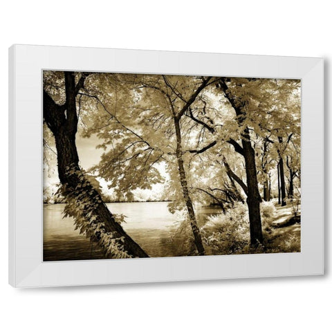 Spring on the River IV White Modern Wood Framed Art Print by Hausenflock, Alan