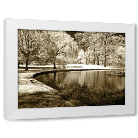 Bryan Pond II White Modern Wood Framed Art Print by Hausenflock, Alan