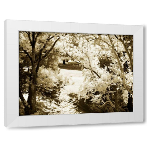 Sunlit Meadows II White Modern Wood Framed Art Print by Hausenflock, Alan