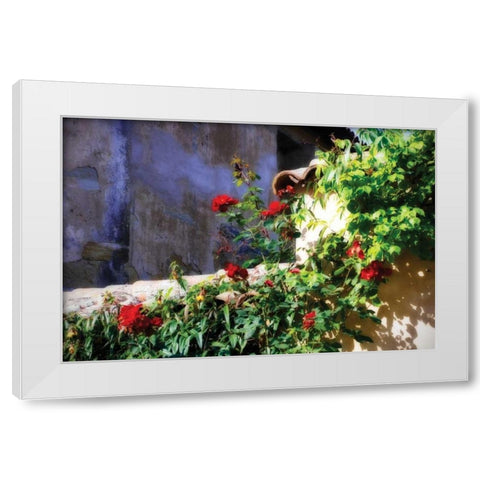 Flowers on a Mission Wall III White Modern Wood Framed Art Print by Hausenflock, Alan