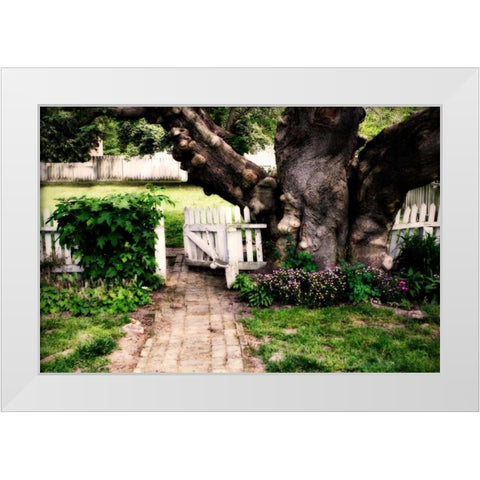 Grandfather Tree I White Modern Wood Framed Art Print by Hausenflock, Alan