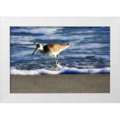 Sandpiper in the Surf III White Modern Wood Framed Art Print by Hausenflock, Alan