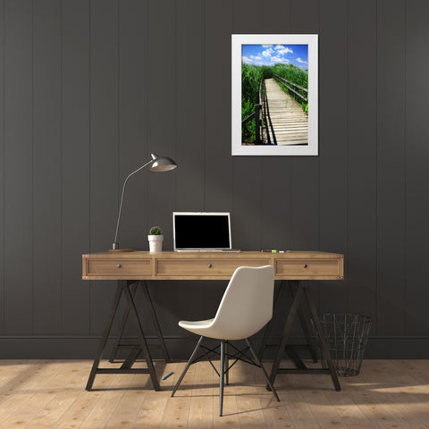 Wetland Walkway I White Modern Wood Framed Art Print by Hausenflock, Alan