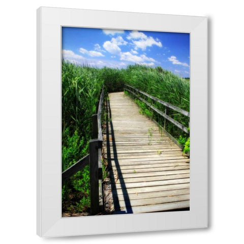 Wetland Walkway I White Modern Wood Framed Art Print by Hausenflock, Alan