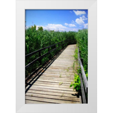 Wetland Walkway II White Modern Wood Framed Art Print by Hausenflock, Alan