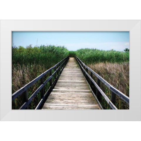 Wetland Walkway III White Modern Wood Framed Art Print by Hausenflock, Alan