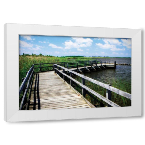 Wetland Walkway IV White Modern Wood Framed Art Print by Hausenflock, Alan