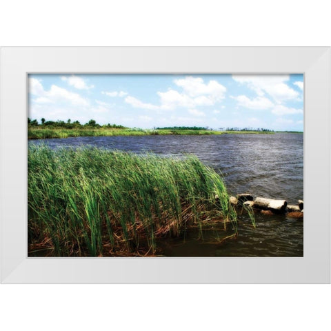 Back Bay III White Modern Wood Framed Art Print by Hausenflock, Alan