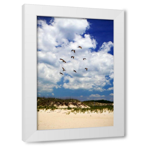 Pelicans over the Dunes V White Modern Wood Framed Art Print by Hausenflock, Alan