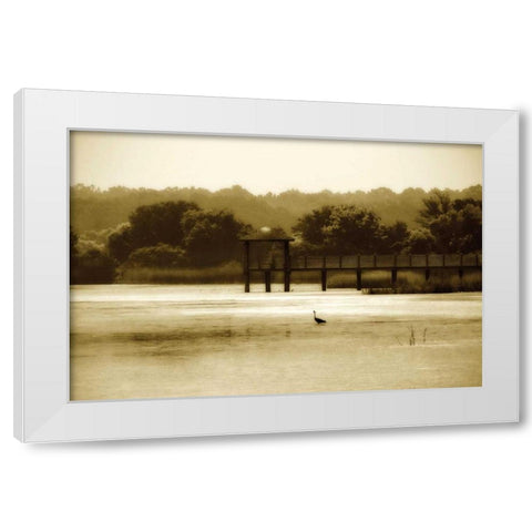 Lagoon II White Modern Wood Framed Art Print by Hausenflock, Alan