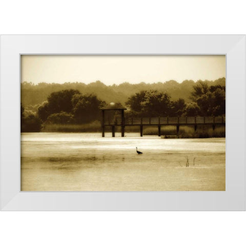 Lagoon II White Modern Wood Framed Art Print by Hausenflock, Alan