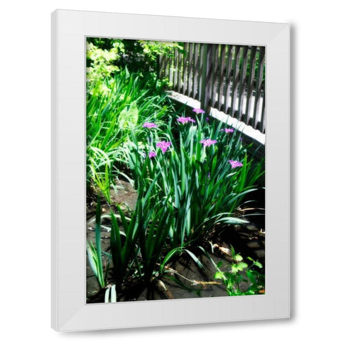 Spring Iris I White Modern Wood Framed Art Print by Hausenflock, Alan