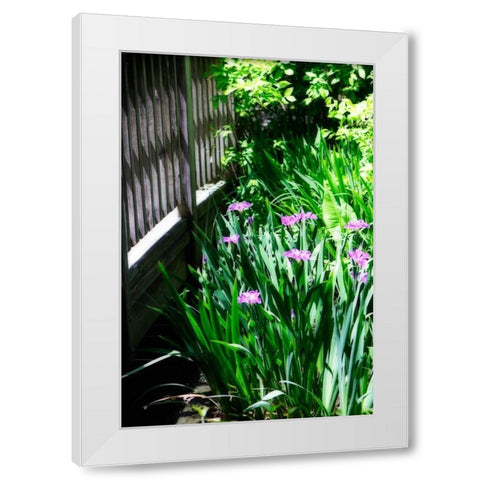 Spring Iris II White Modern Wood Framed Art Print by Hausenflock, Alan