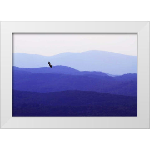 Blue Ridge II White Modern Wood Framed Art Print by Hausenflock, Alan