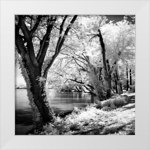 Spring on the River Square II White Modern Wood Framed Art Print by Hausenflock, Alan