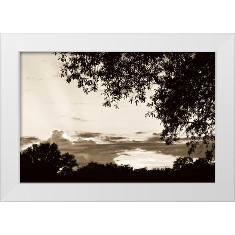 Sunset through Trees I White Modern Wood Framed Art Print by Hausenflock, Alan