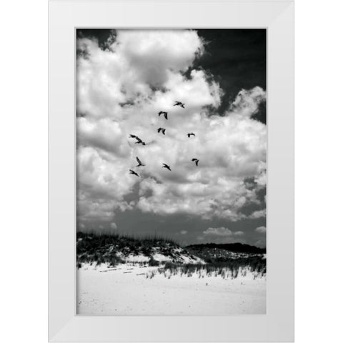 Pelicans over Dunes V White Modern Wood Framed Art Print by Hausenflock, Alan