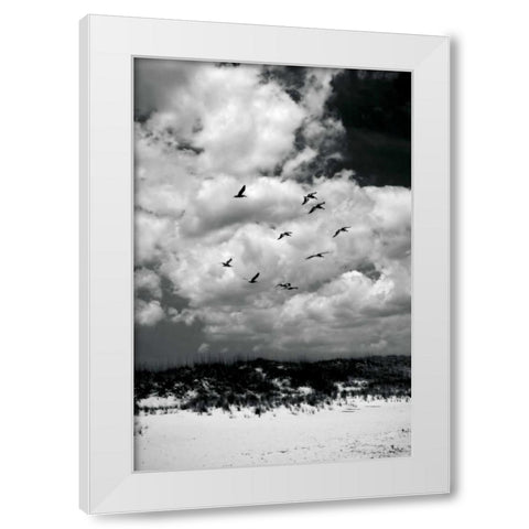 Pelicans over Dunes VI White Modern Wood Framed Art Print by Hausenflock, Alan