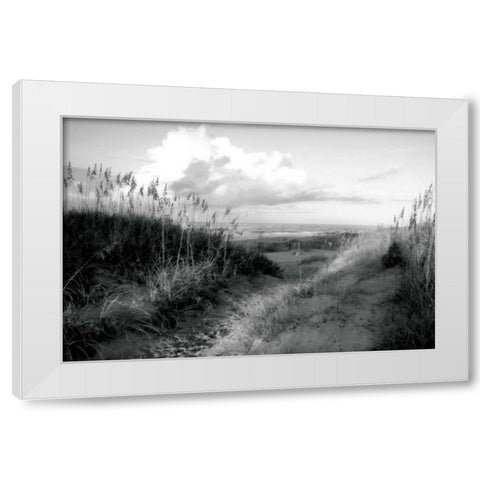 Dunes I White Modern Wood Framed Art Print by Hausenflock, Alan