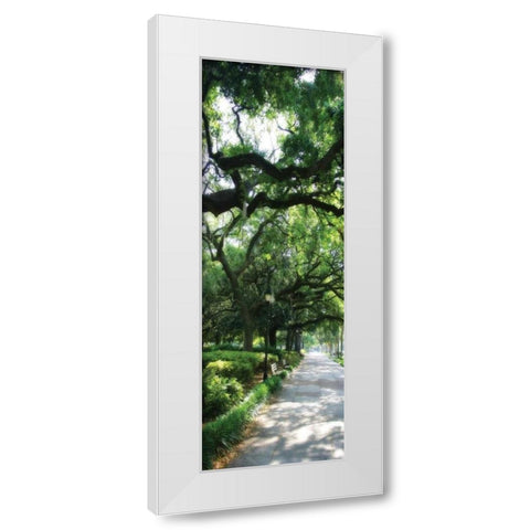 Savannah Sidewalk Panel II White Modern Wood Framed Art Print by Hausenflock, Alan