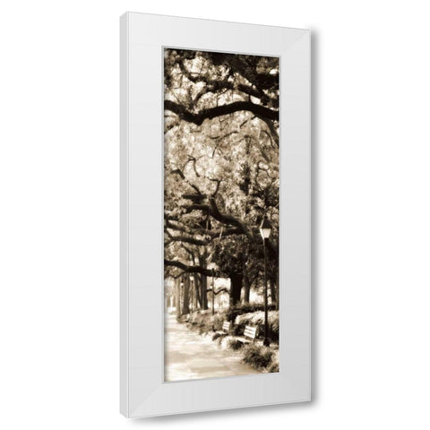 Savannah in Sepia I White Modern Wood Framed Art Print by Hausenflock, Alan