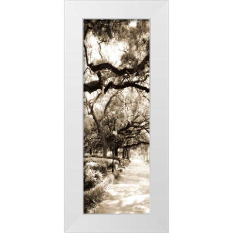 Savannah in Sepia II White Modern Wood Framed Art Print by Hausenflock, Alan