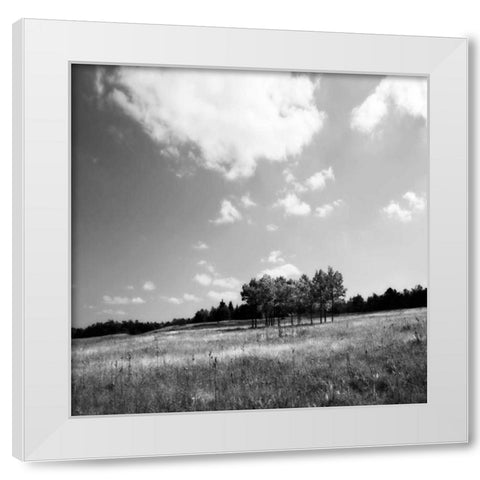 Tree Line Sq. I White Modern Wood Framed Art Print by Hausenflock, Alan