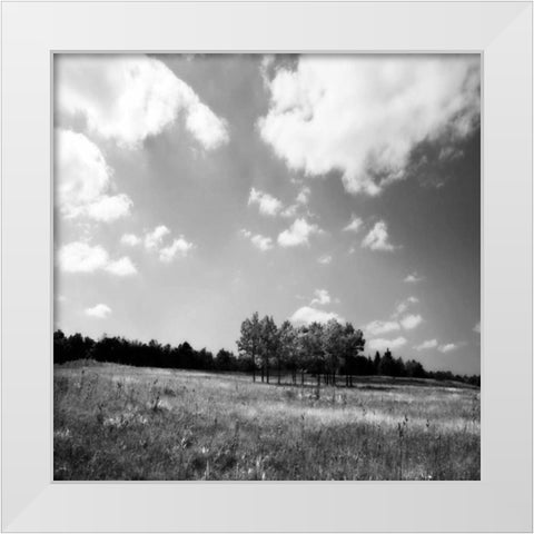 Tree Line Sq. II White Modern Wood Framed Art Print by Hausenflock, Alan