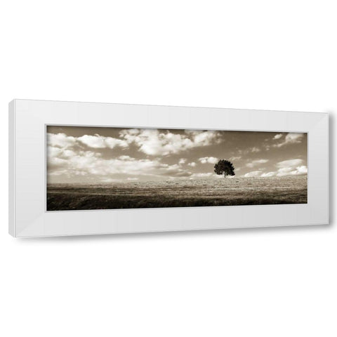 Cloudy Skies Panel I White Modern Wood Framed Art Print by Hausenflock, Alan