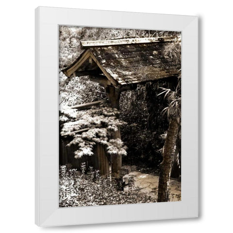 Bamboo Garden II White Modern Wood Framed Art Print by Hausenflock, Alan