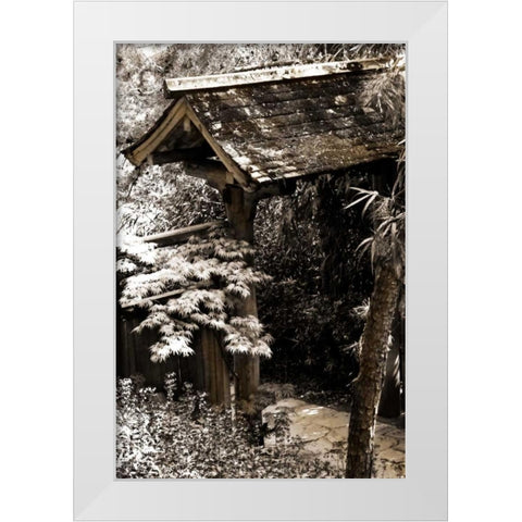 Bamboo Garden II White Modern Wood Framed Art Print by Hausenflock, Alan