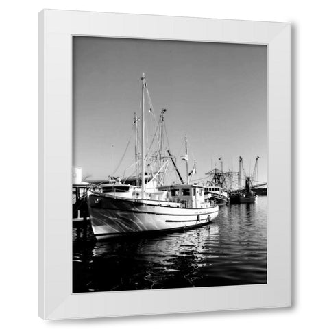 The Companera White Modern Wood Framed Art Print by Hausenflock, Alan