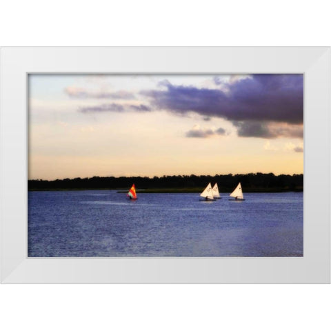 Sunfish Sailors II White Modern Wood Framed Art Print by Hausenflock, Alan