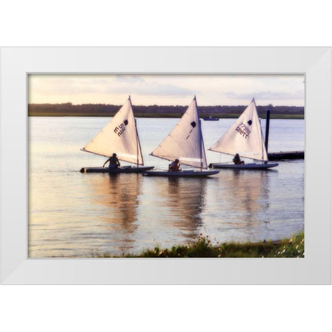 Three Sunfish I White Modern Wood Framed Art Print by Hausenflock, Alan