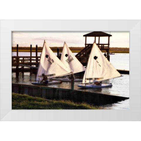 Three Sunfish II White Modern Wood Framed Art Print by Hausenflock, Alan