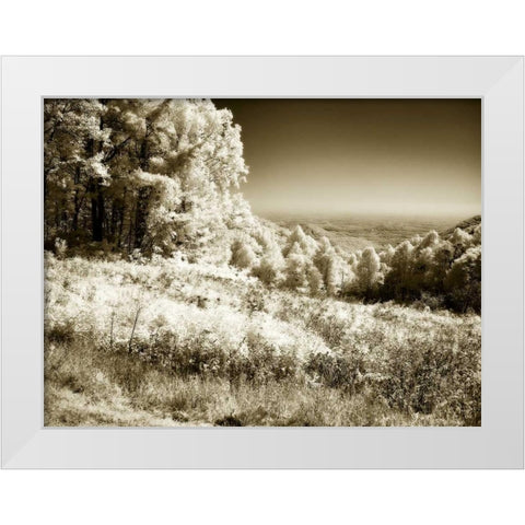 Swift Run Gap I White Modern Wood Framed Art Print by Hausenflock, Alan