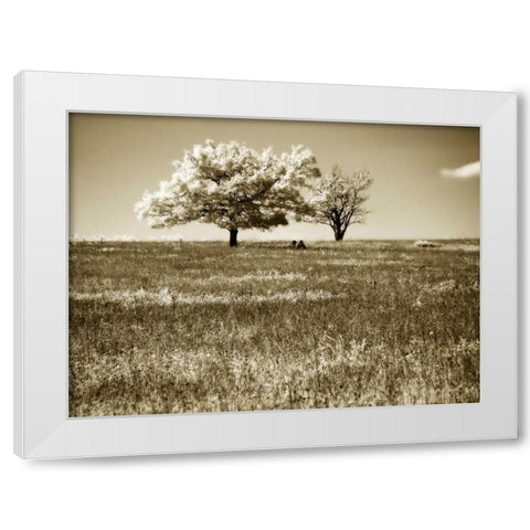 Mountain Picnic II White Modern Wood Framed Art Print by Hausenflock, Alan