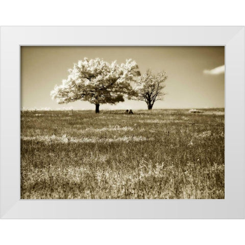 Mountain Picnic II White Modern Wood Framed Art Print by Hausenflock, Alan