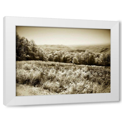 Piney Mountain I White Modern Wood Framed Art Print by Hausenflock, Alan