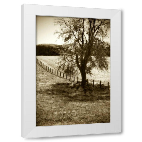 Rolling Pastures II White Modern Wood Framed Art Print by Hausenflock, Alan