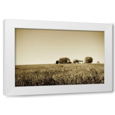 Goochland Farm I White Modern Wood Framed Art Print by Hausenflock, Alan